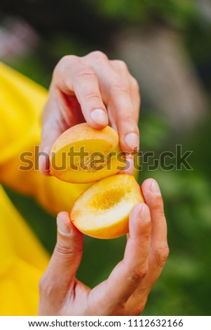 two halves of peach in hands. the peach is cut in half. colorful photo on a green background.