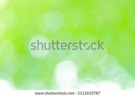 Abstract blurred green bokeh background from natural