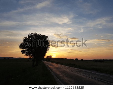 Asphalt road in the atmosphere of orange sunset. The beauty of nature and the romantic mood. Beautiful scenery while traveling. Artistic photography.