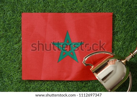 Morocco flag on the green lawn.
Concept sport.