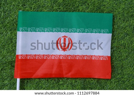 Iran flag on the green lawn.
Concept sport.