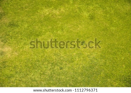 Green ground background