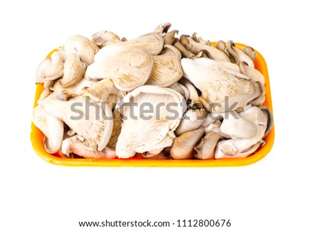 Container with fresh mushrooms. Studio Photo