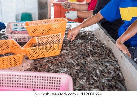 Fresh raw prawn in the market