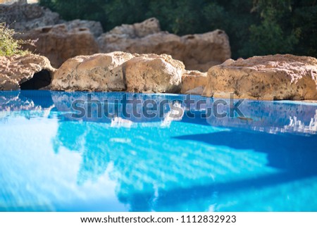 Outdoor inground residential swimming pool in backyard with hot tub Royalty-Free Stock Photo #1112832923