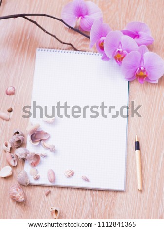 a blank sheet of paper in the center, shells, orchids and pen