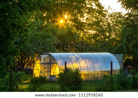 Greenhouse on the precinct. Private garden. Sunset light. Royalty-Free Stock Photo #1112958560
