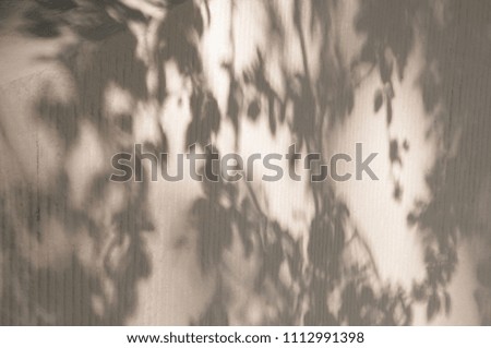 Shadows on the wall with vertical lines on it from the branches of trees on the sunset