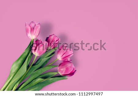 Beautiful colorful tulips