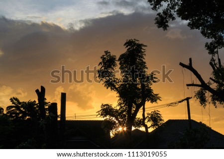 silhouette picture of tree and roof house with rain clouds and sunset at twilight.