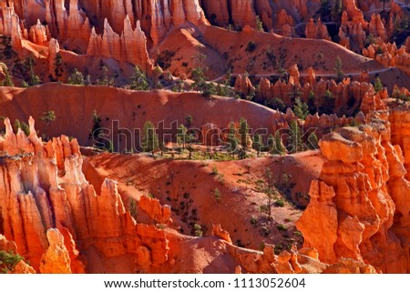 Bryce Canyon National Park,home to the greatest number of hoodoos on Earth,landscape of redrock,Southwestern Utah,USA.