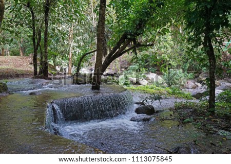 Check dam waterfall among natural landscape of green forest park