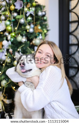 Portrait of young american girl with husky, decorated fir tree in background.Concept of celebrating Christmas and New Year, pets and winter holidays.