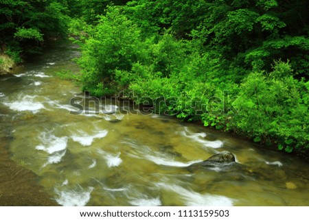 kuzumaru stream of fresh green falls