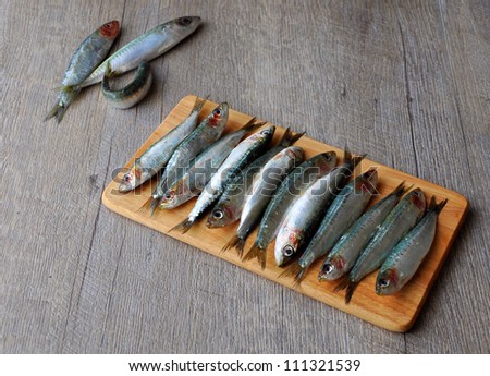 Fresh sardines on wooden board