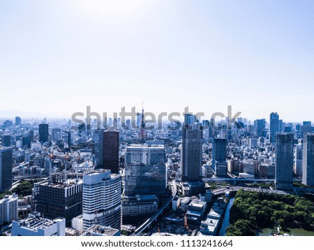 Aerial shooting of the buildings and parks in Tokyo.