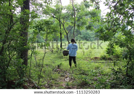 Little girl is looking for food in the woods in the morning, green background