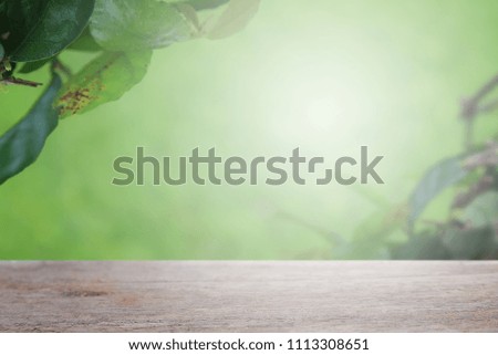 Old empty wooden table above the tree blurred with bokeh background and green from nature For product editing
