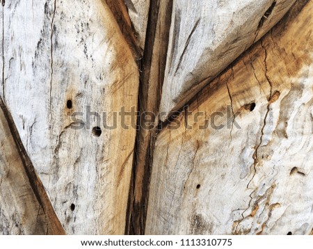 Wooden Organic Background Texture with cuts close up. Light brown wood background. Aged tree surface