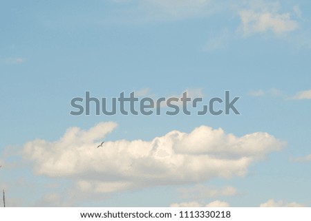white clouds on the blue sky, desktop wallpaper