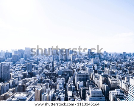 The city of Tokyo seen from above.