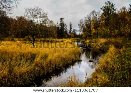 autumn landscape yellow dry grass, lake, yellow trees and clouds