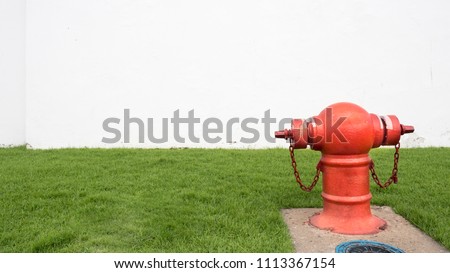 red fire hydrant sits in a freshly cut grass field on white background