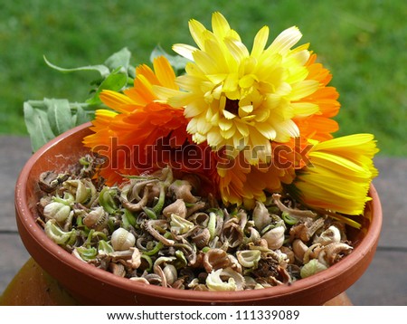 Marigold seeds