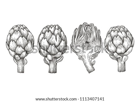 Artichokes. Hand drawn engraving style illustrations. Royalty-Free Stock Photo #1113407141