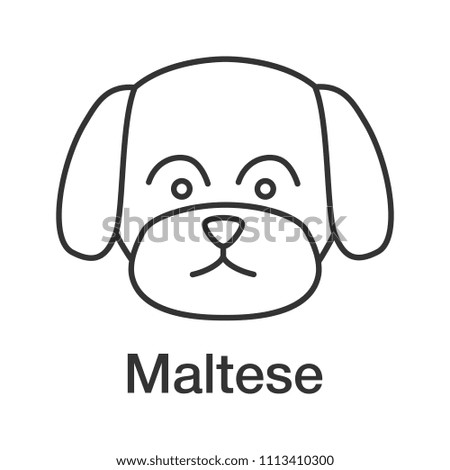 Maltese linear icon. Thin line illustration. Toy dog breed. Contour symbol. Raster isolated outline drawing