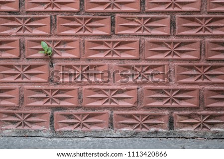 Eight Pointed star Pattern On Weathered Texture Stained Old Stucco Orange Brick Wall Background With Plant, Rusty Blocks of Stonework Horizontal Architecture Wallpaper