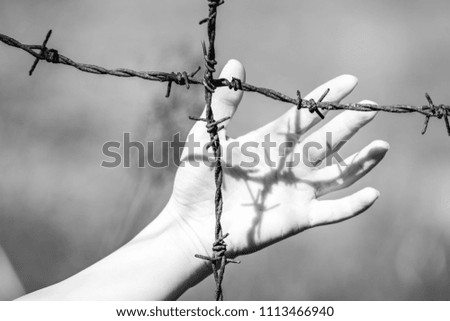 womans Hand clutch at barbed wire fence on green background