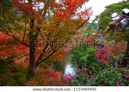 Kyoto in autumn