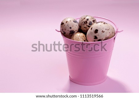 A lot of quail eggs in a decorative pink bucket on a bright pink background