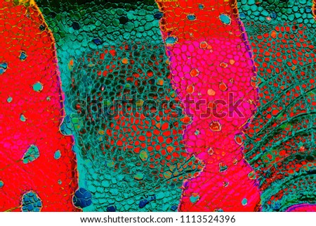 Grunge or colorful texture for background