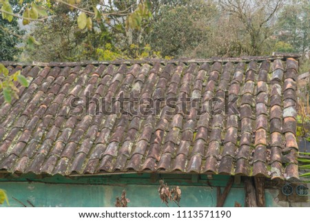 roof of a small house made of clay tiles surrounded by greenery