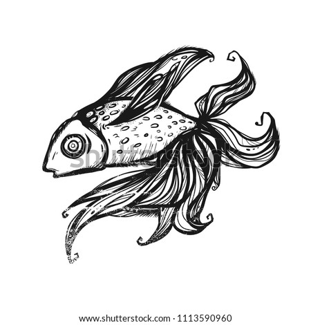 Drawn golden fish isolated on a white background. Black and white illustration. Can be used for printing, for background, for the web, etc.