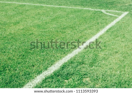 football field, green lawn with a line drawn with white paint
