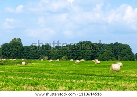a field with bales of straw, at blue sky