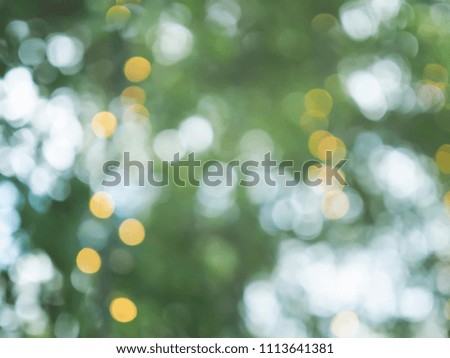 Green and yellow Bokeh lights background. defocused