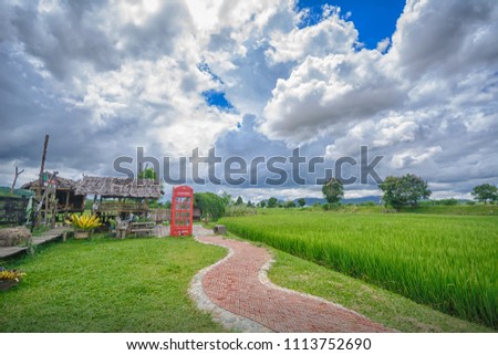 Stone Pathway in a Green field at Chiang Rai,Thailand Royalty-Free Stock Photo #1113752690