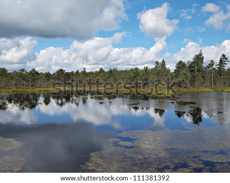 Beautiful swamp landscape of Teici Nature Reserve, Latvia