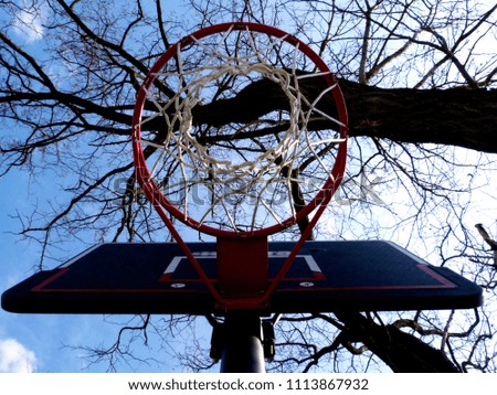 basketball hoop abstract under blue sky and tree