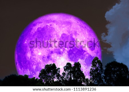 full purple moon over silhouette tree on forest, Elements of this image furnished by NASA
