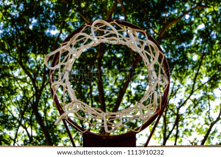 Basketball goal and net against with trees branch in the morning time playing sport activity.
