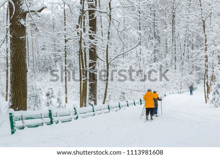 Elderly people ski in the forest after a snowfall