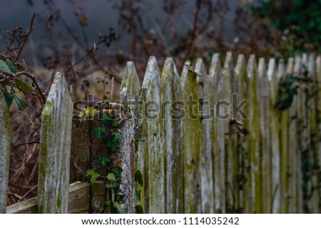 A picture of a old fence