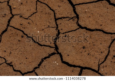 Picture of ground texture