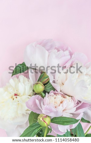 Beautiful bouquet of pink and white peonies flowers on pink background with copy space,vertical picture
