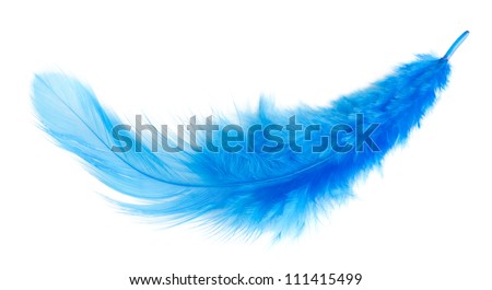 blue feather on a white background. isolated Royalty-Free Stock Photo #111415499